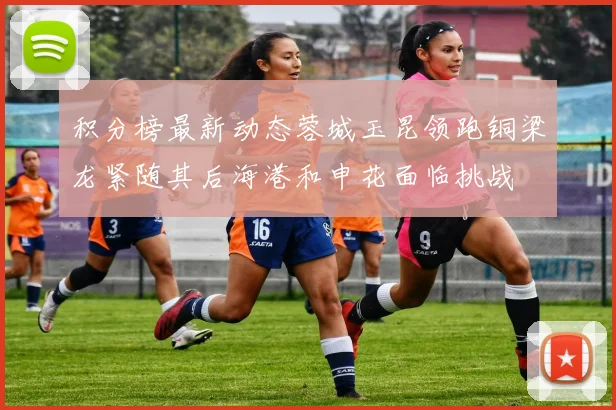 积分榜最新动态蓉城玉昆领跑铜梁龙紧随其后海港和申花面临挑战