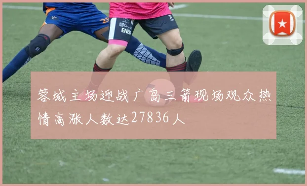 蓉城主场迎战广岛三箭现场观众热情高涨人数达27836人