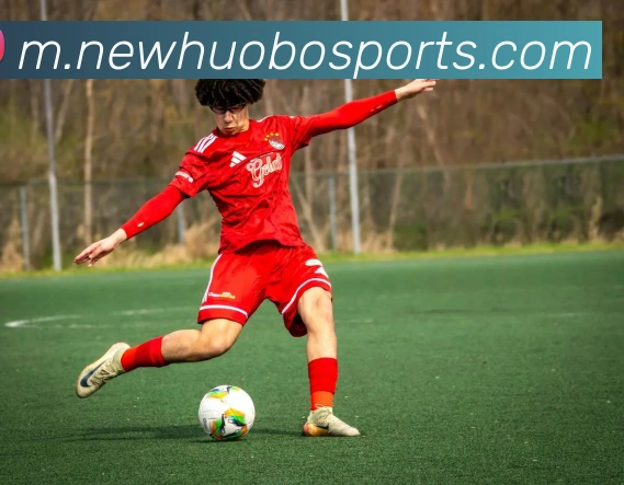 火博体育平台生态图